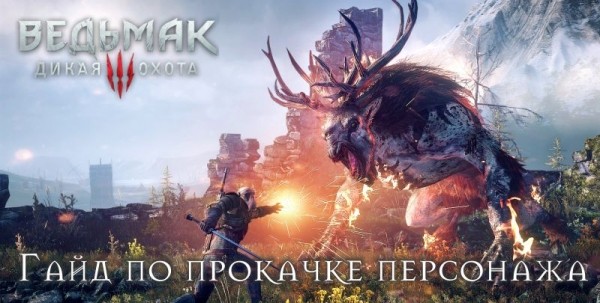 Гайд по прокачке персонажа в игре Ведьмак 3: Дикая Охота Гайд по прокачке персонажа в игре Ведьмак 3: Дикая Охота