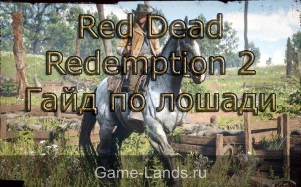 Red Dead Redemption 2 – гайд по лошади | Red Dead Redemption 2 Гайды | Game-Lands.ru Red Dead Redemption 2 – гайд по лошади | Red Dead Redemption 2 Гайды | Game-Lands.ru