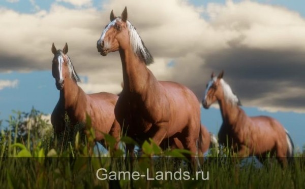 Red Dead Redemption 2 – гайд по лошади | Red Dead Redemption 2 Гайды | Game-Lands.ru Red Dead Redemption 2 – гайд по лошади | Red Dead Redemption 2 Гайды | Game-Lands.ru
