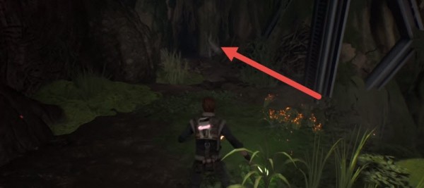 Star Wars: Jedi Fallen Order - где найти загадочных существ Star Wars: Jedi Fallen Order - где найти загадочных существ