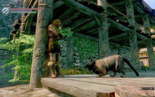 В Skyrim можно сыграть за кота В Skyrim можно сыграть за кота