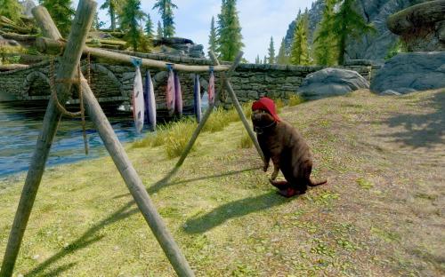 В Skyrim можно сыграть за кота В Skyrim можно сыграть за кота