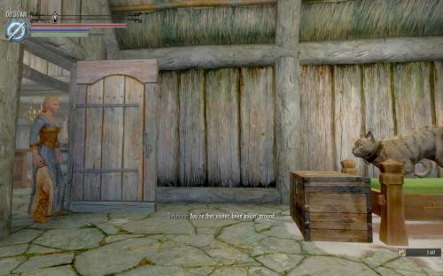 В Skyrim можно сыграть за кота В Skyrim можно сыграть за кота