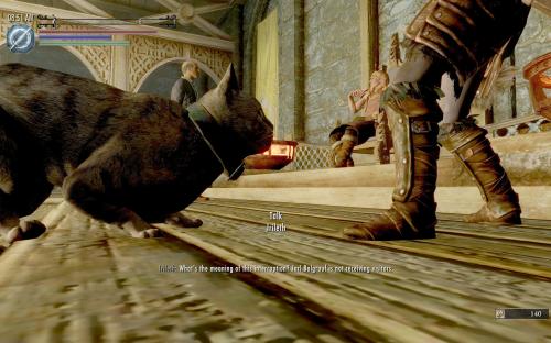 В Skyrim можно сыграть за кота В Skyrim можно сыграть за кота