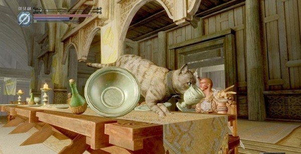 В Skyrim можно сыграть за кота В Skyrim можно сыграть за кота