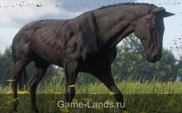 Red Dead Online - Самые лучшие лошади | Red Dead Online Гайды | Game-Lands.ru