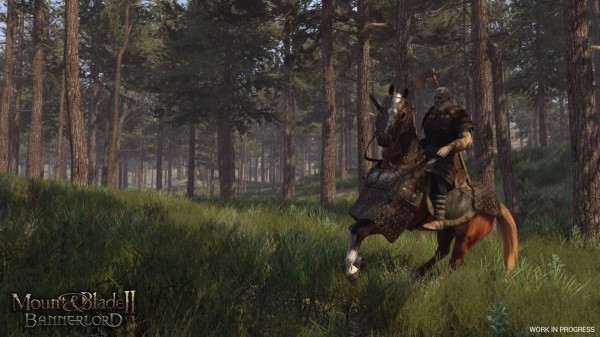 Как выжить в Mount and Blade 2: Bannerlord Как выжить в Mount and Blade 2: Bannerlord