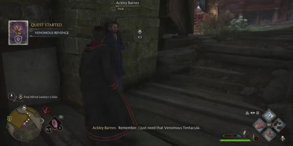 Hogwarts Legacy: Как пройти "Ядовитая месть" (руководство по побочному квесту)